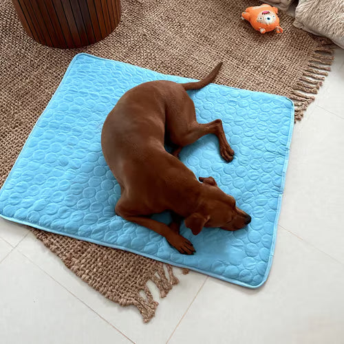 🌞Summer Hot Sale🧊Premium Cooling Mat For Pet– UK Ready! 🇬🇧