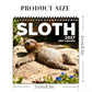🦥2027 Sloths Wall Calendar – 12 Months of Cute Sloths & Relaxing Nature Moments