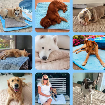 🌞Summer Hot Sale🧊Premium Cooling Mat For Pet– UK Ready! 🇬🇧