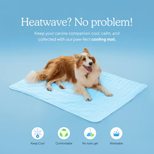 🌞Summer Hot Sale🧊Premium Cooling Mat For Pet– UK Ready! 🇬🇧