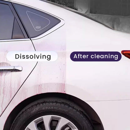 🚗 BUY 2 GET 1 FREE! ✨ Iron Powder Rust Remover for Car – Dissolves Contaminants, Safe on Paint & Restores Smooth Surface for Detailing 🧼