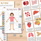 🔥Hot Sell 49% Off🧒Human Anatomy Busy Book