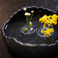 Creative Floating Floral Arrangement Holder