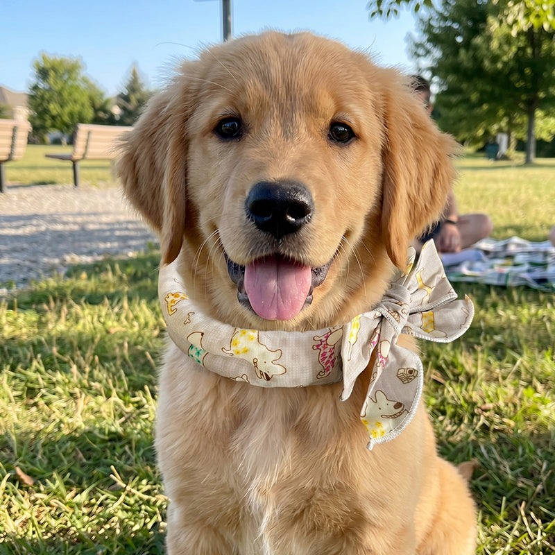 ⏳LAST DAY SALE ONLY ￡6.99!!🎀PipPaw™ Cooling Collar – Summer Relief for Dogs & Cats 🌞❄️  Vet-Safe • Reusable • No Freezer Needed • Made for British Heatwaves!