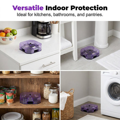 🔥LAST DAY SALE ONLY ￡6.99!!🔥 No More Toxic Sprays! Reusable Roach Trap – Catch & Release (or Dispose) Safely