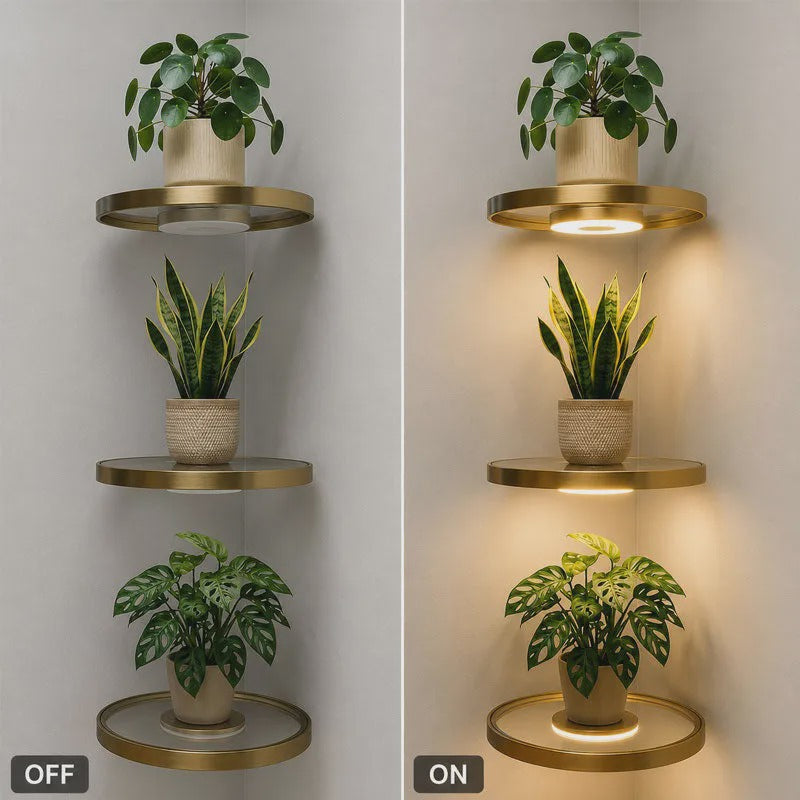 📢📢57% OFF !! ⏰Floating Wall Shelf with Built-in Ambient LED Light