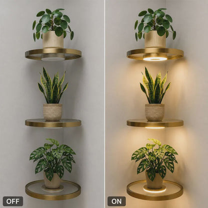 📢📢57% OFF !! ⏰Floating Wall Shelf with Built-in Ambient LED Light