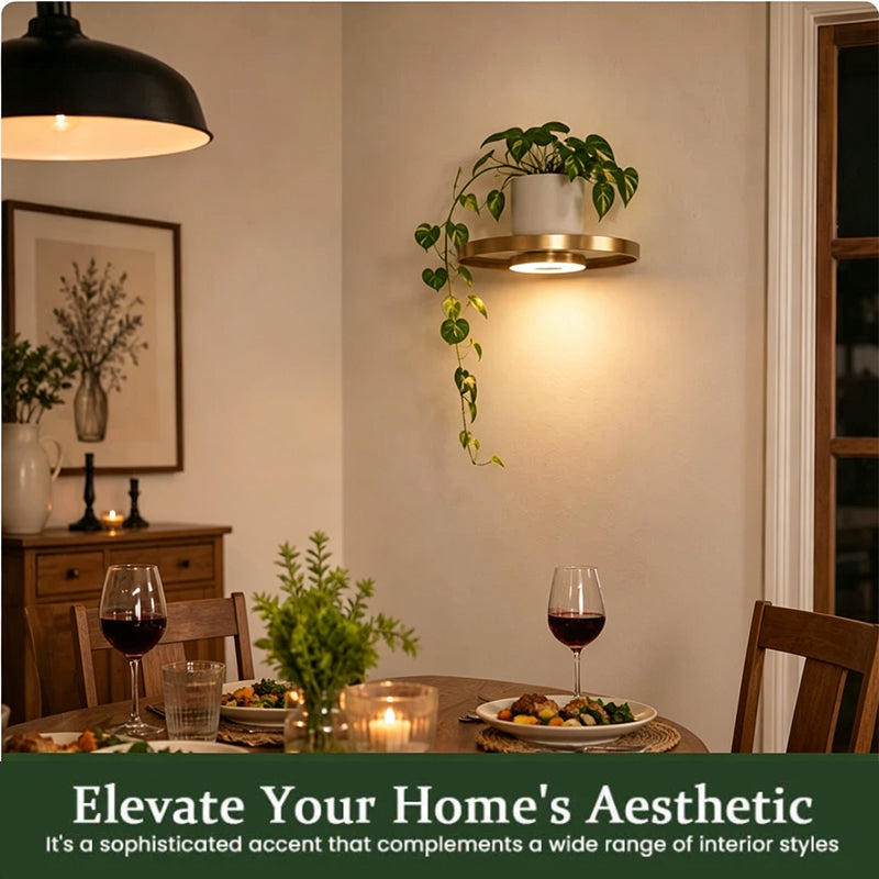 📢📢57% OFF !! ⏰Floating Wall Shelf with Built-in Ambient LED Light