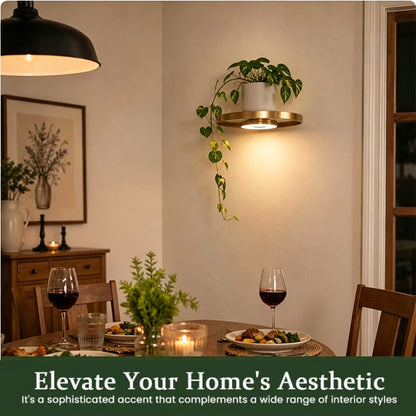 📢📢57% OFF !! ⏰Floating Wall Shelf with Built-in Ambient LED Light